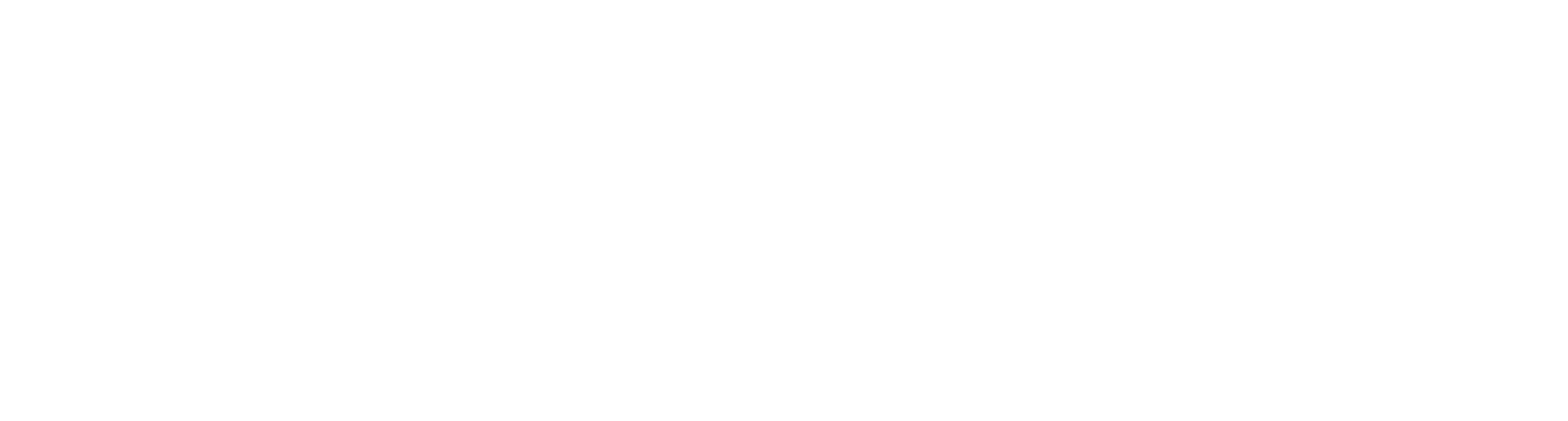 Schütze Fahrzeugüberführungen